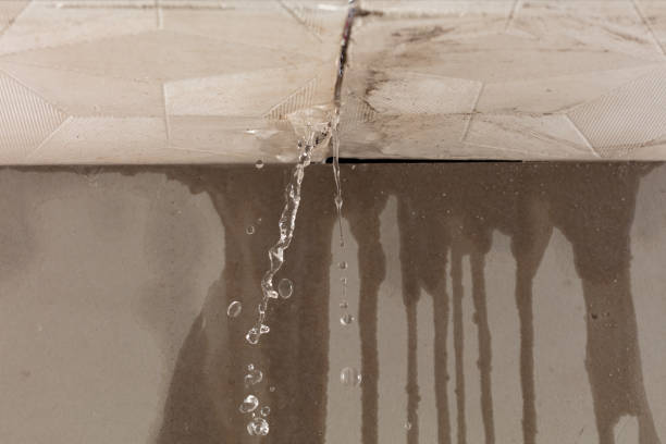 Professional Sewage Cleanup technician working in Wood River, IL